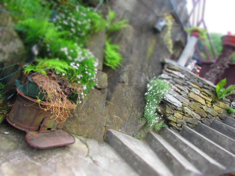 Casa Vacanza Pizzo Camino Calasca-Castiglione Екстер'єр фото